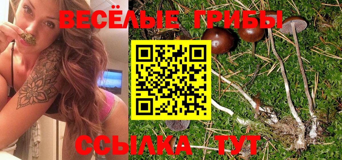 Псилоцибиновые грибы мухоморы Пенза