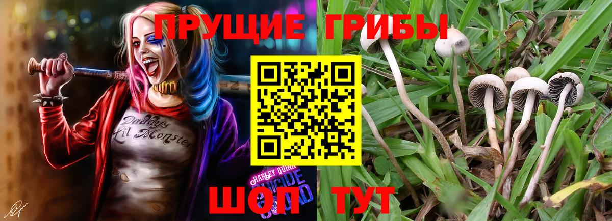 Псилоцибиновые грибы ЛСД  цены наркотик  Пенза  Вход с VPN 